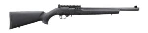 RUGER 10/22 CARBINE 22LR BL/HOGUE  #